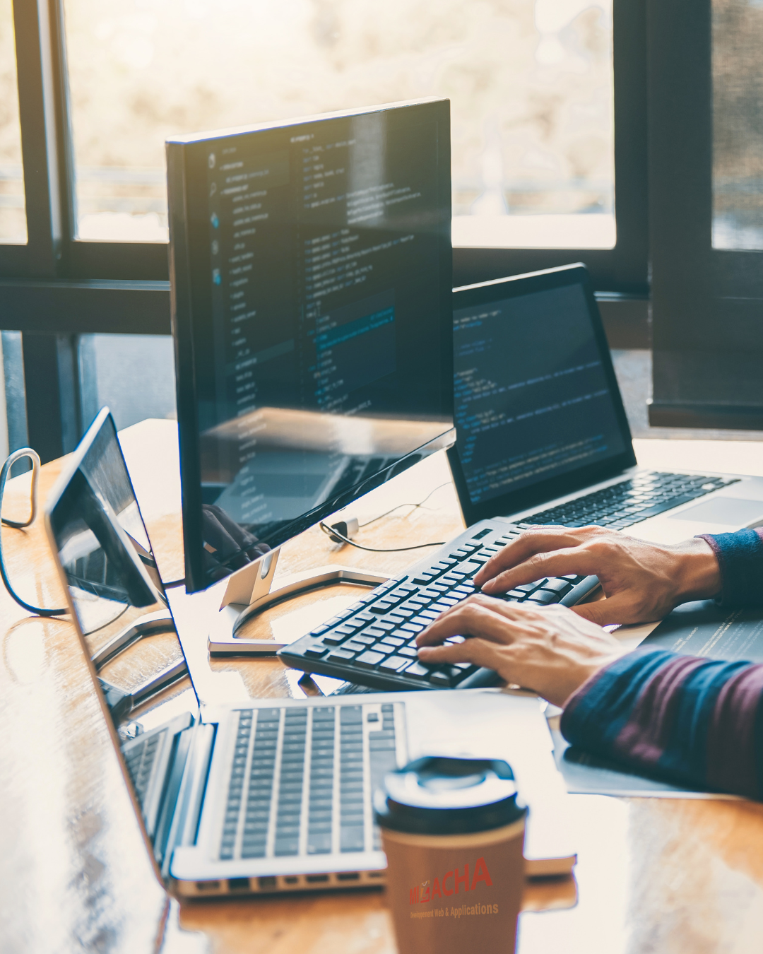 Interface d’expertise MIZACHA